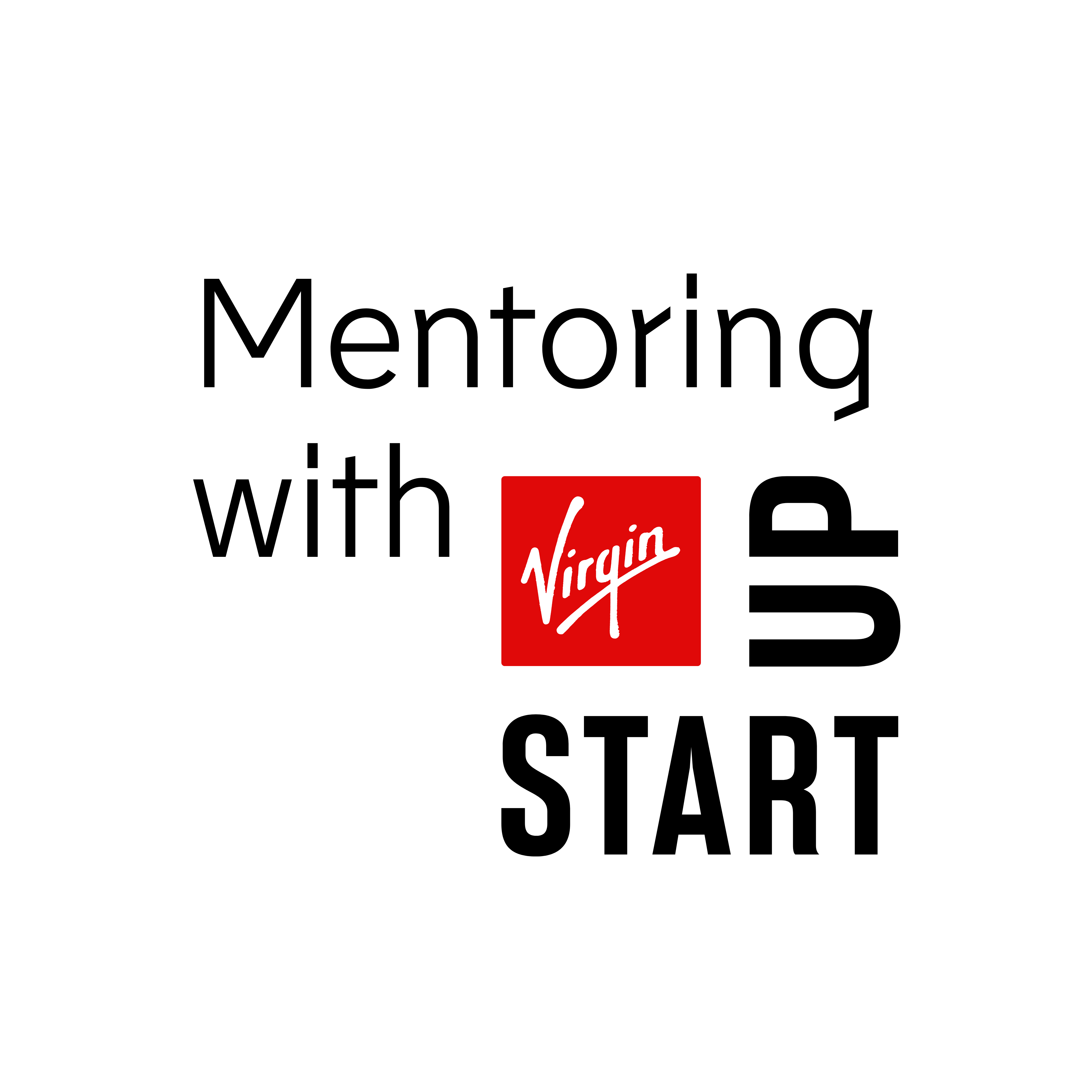 Virgin Startup Mentor